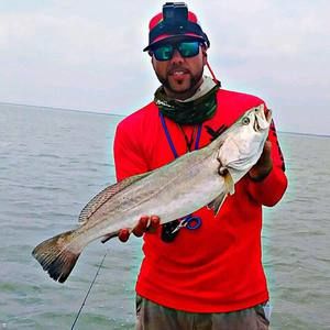 Meet your Posher, Elliott